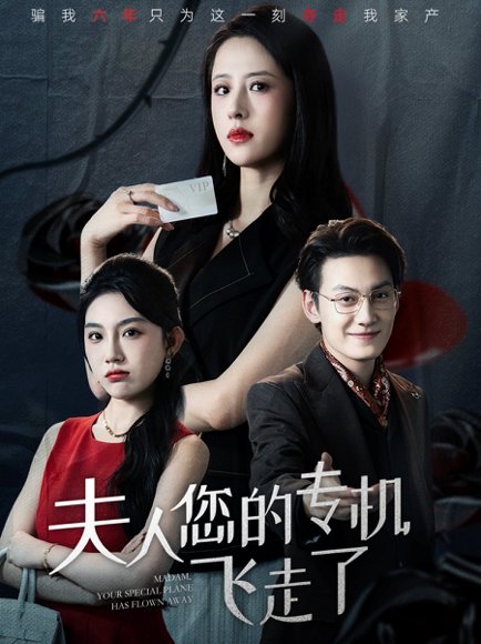 夫人您的专机飞走了（62集）王婧琦&陈泓龙 高清完整版