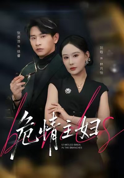 危情主妇（60集）刘晗&张恩浩&邱潇 高清完整版